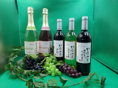 【定期便：全５回】サントネージュかみのやまシリーズ　0141-2420