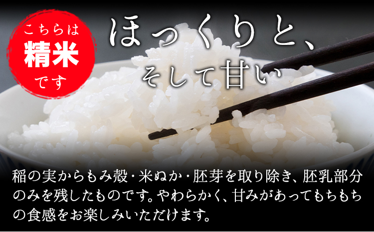 【6か月定期便】 令和6年産 小さな竹美人 玄米 2kg 玄米 株式会社コモリファーム《お申込み月の翌月から出荷開始》---sc_kmjasrgtei_24_49500_mo6num1---