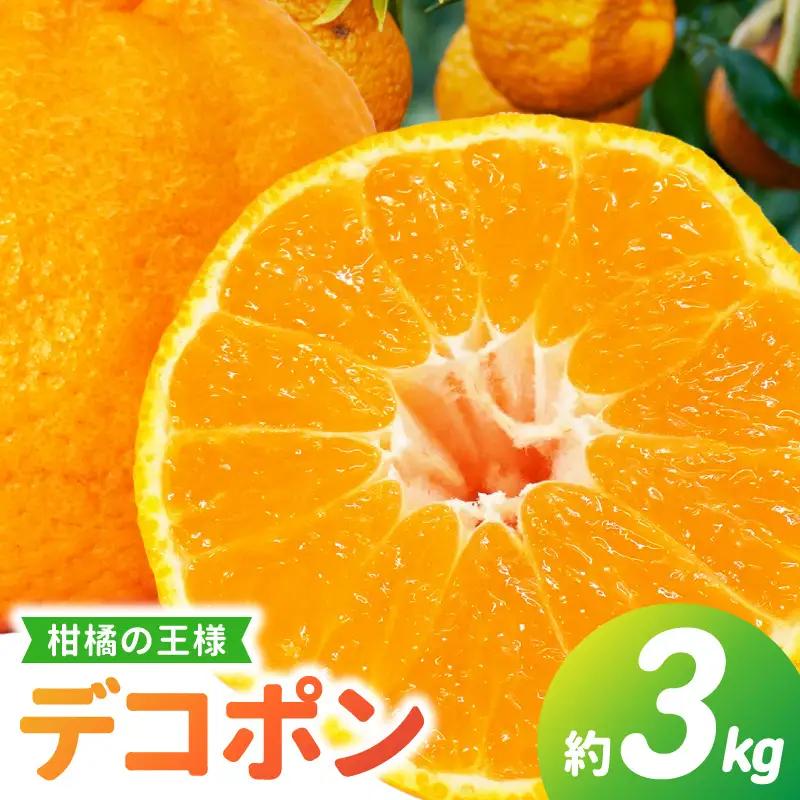 S053-002B_天草産 デコポン 3kg〈先行予約〉 / デコポン 柑橘 みかん フルーツ