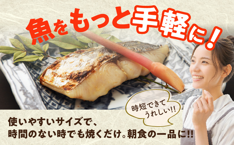 【定期便】さわら 切身 約50g×20切れ 全2回【2026年1月＆2026年4月発送 小分け 漁師 手切り 1kg 泉州 鰆 切り身 弁当 朝食 時短 訳あり サイズ不揃い 規格外 冷凍食品】 G3