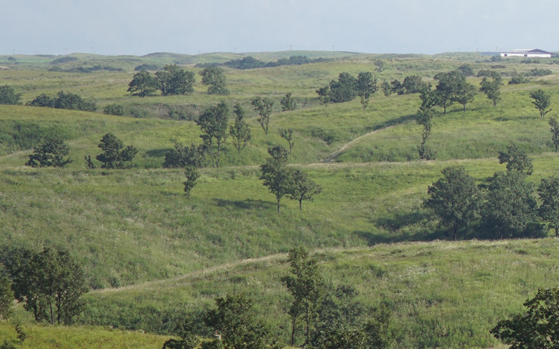 【FIL】アロマキャンドル くさび Aroma Candle 楔   ソイアロマキャンドル ソイキャンドル キャンドル キャンドルランタン キャンドルライト 小国杉 天然由来 アロマ フレグランス 芳