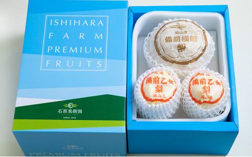 梨 2024年 先行予約 備前横綱梨（あたご梨） 超大玉1玉 1.3kg～1.4kg・備前乙女梨（鴨梨） 1～2玉 詰合せ 合計2.0kg以上 贈答箱 岡山県産 フルーツ ギフト 石原果樹園 [No.