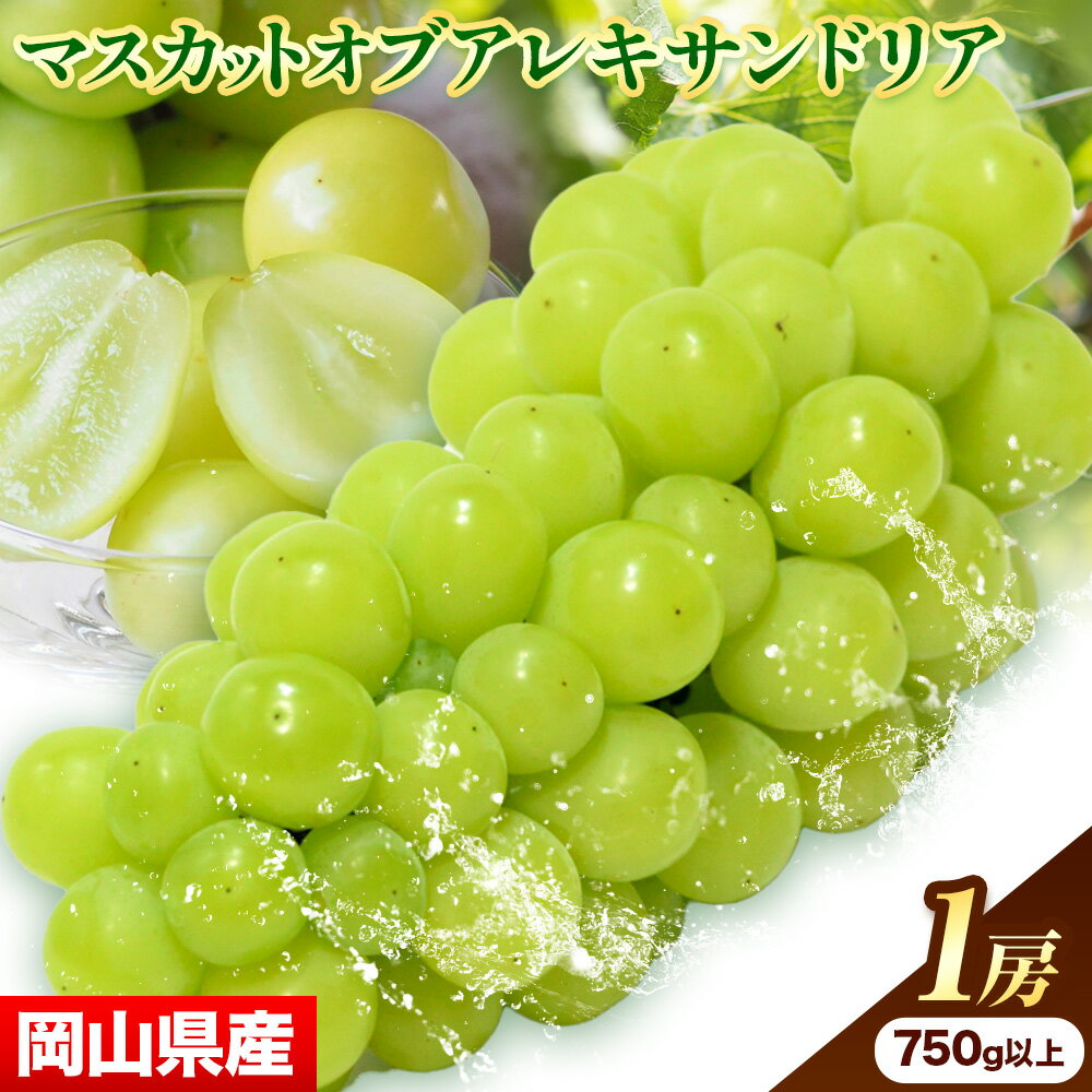 【ふるさと納税】【先行予約】岡山県産 マスカットオブアレキサンドリア 1房 (750g以上) 【配送不可地域あり】 《7月上旬-8月下旬頃に出荷予定(土日祝除く)》 岡山県 矢掛町 果物 フルーツ ぶどう 葡萄 送料無料