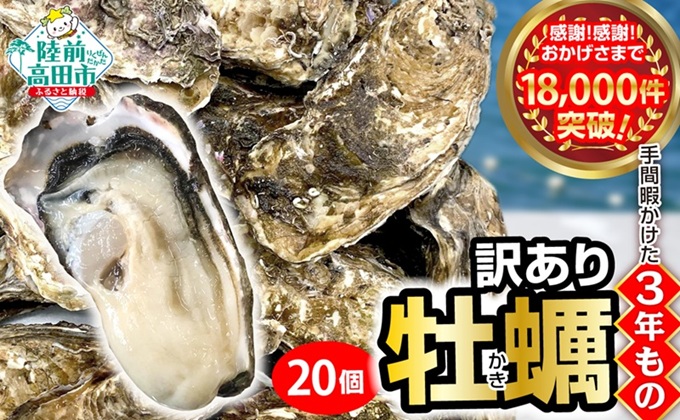 先行予約 三陸産 牡蠣 生食 20個 (殻付き 訳あり/規格外品)【 訳あり 天然 牡蠣 かき 殻付き 生食 焼き牡蠣 蒸し牡蠣 人気 国産 陸前高田 三陸産 広田湾産 小友 マルテン水産 】RT852