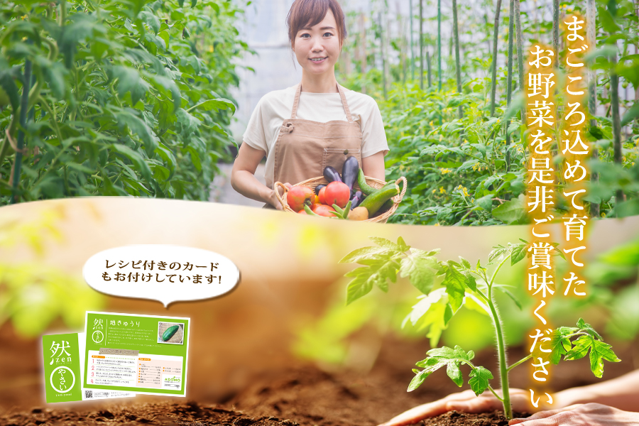 季節のお野菜セットと阿部牧場のむヨーグルト800ml×2本 詰め合わせ 三ツ星 新鮮 旬 産地直送 採れたて 朝採れ みずみずしい 甘い 美味しい 人気 安心 安全 おすすめ お中元 御歳暮 熊本県 阿蘇市