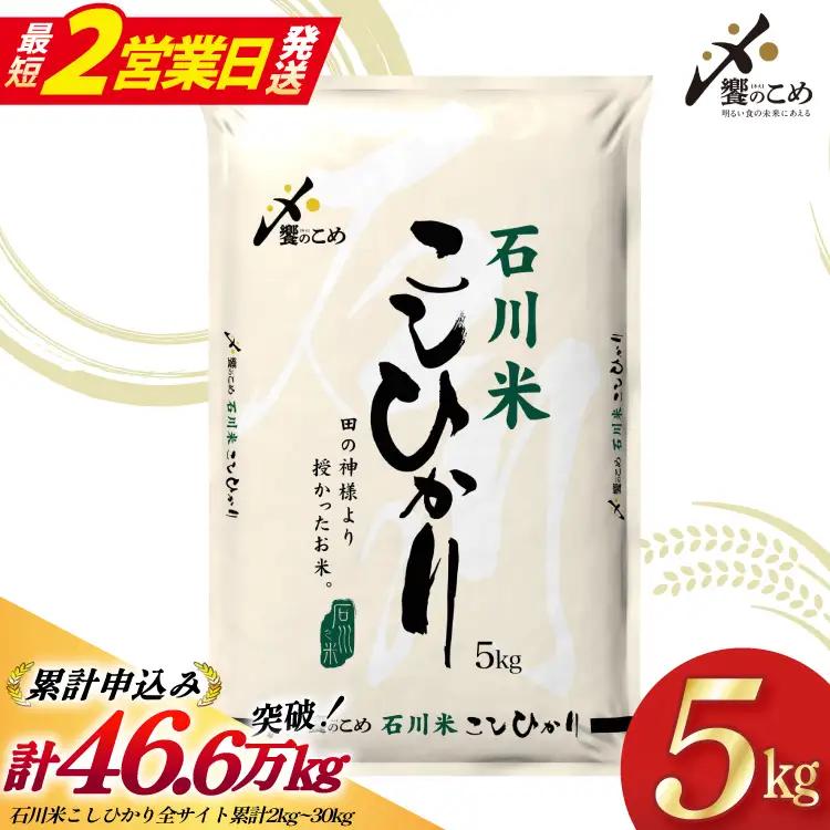 【最短2営業日発送】 令和7年 米 こしひかり 5kg 白米 石川米