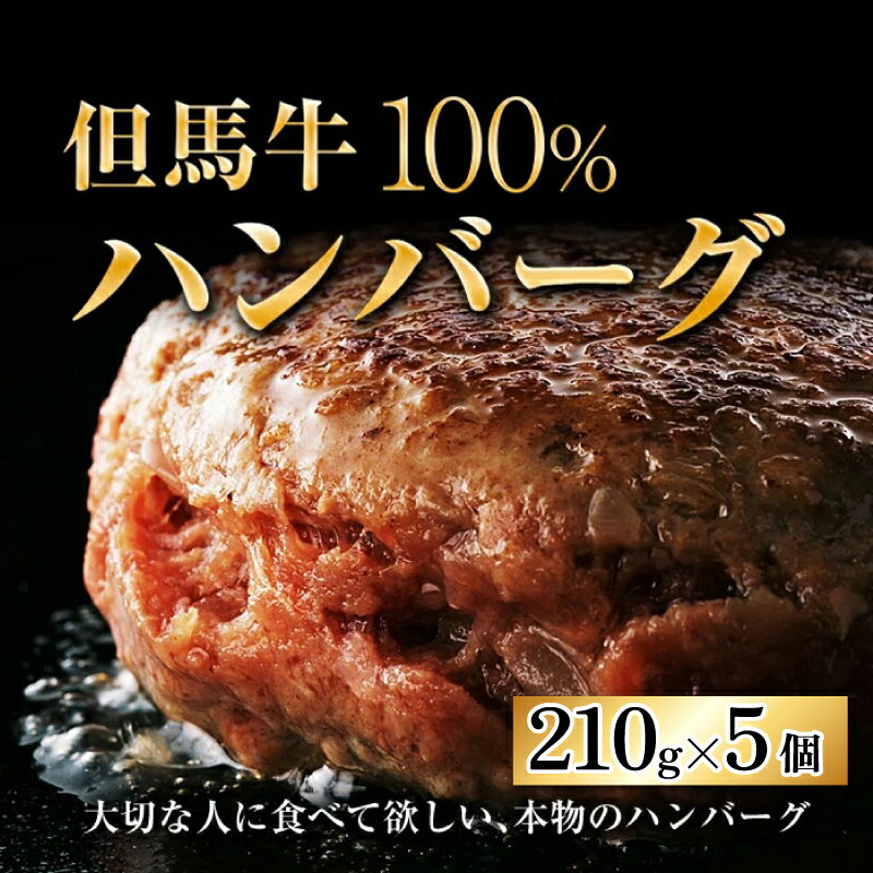 【ふるさと納税】大切な人に食べてほしい但馬牛100％ ミート・マイチク ハンバーグ 5個セット 計1,050g | 肉 牛肉 牛肉100% 冷凍 神戸牛 分厚いハンバーグ 送料無料 クリスマス 父の日 お中元 子供 子ども [A-017005]