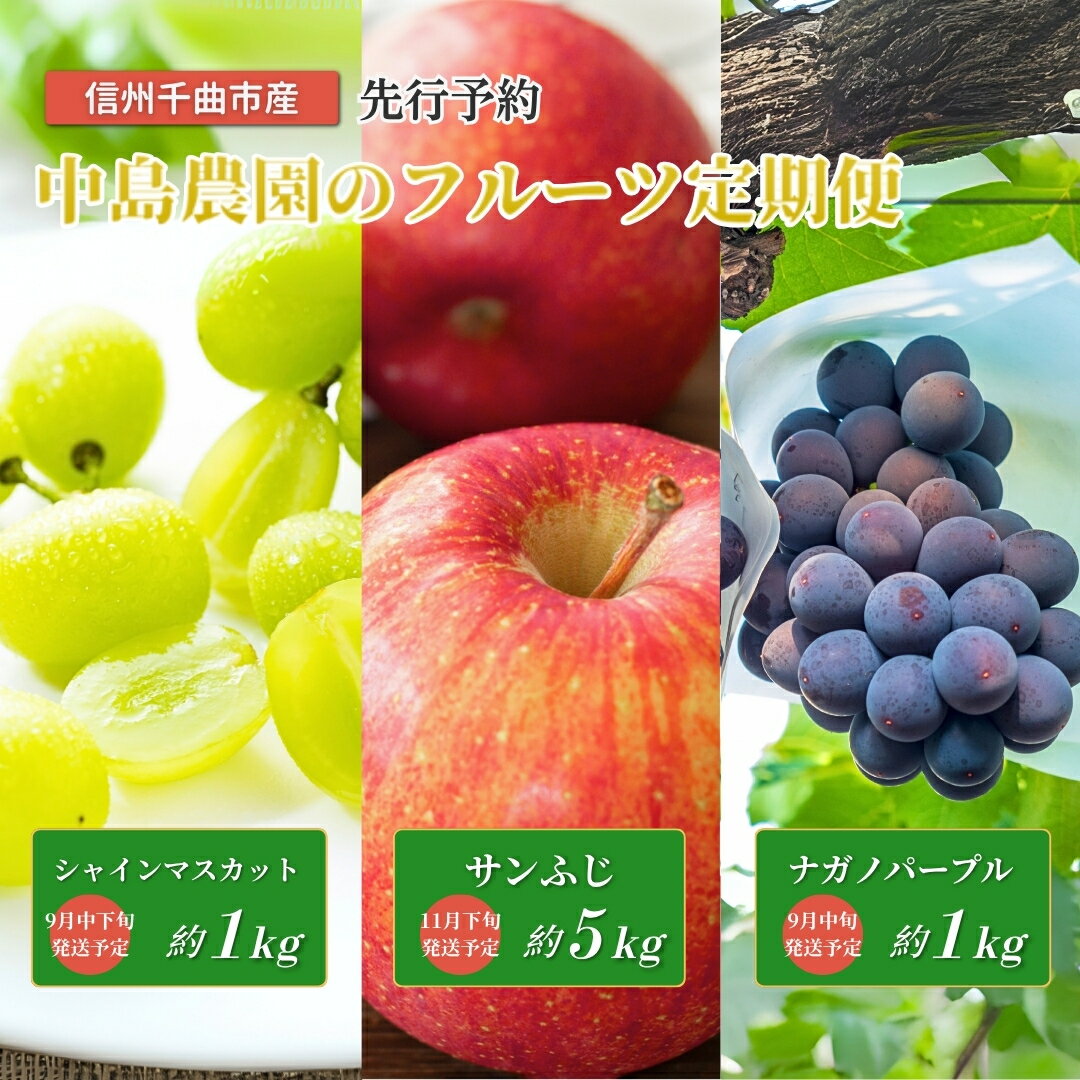 【ふるさと納税】【2026年先行予約】フルーツ王国 信州 千曲 中島農園のフルーツ定期便（ナガノパープル、シャインマスカット、サンふじ）｜林檎 フルーツ 黒ぶどう 白ぶどう 葡萄 ブドウ 種無し 種なし 皮ごと 千曲市 長野県