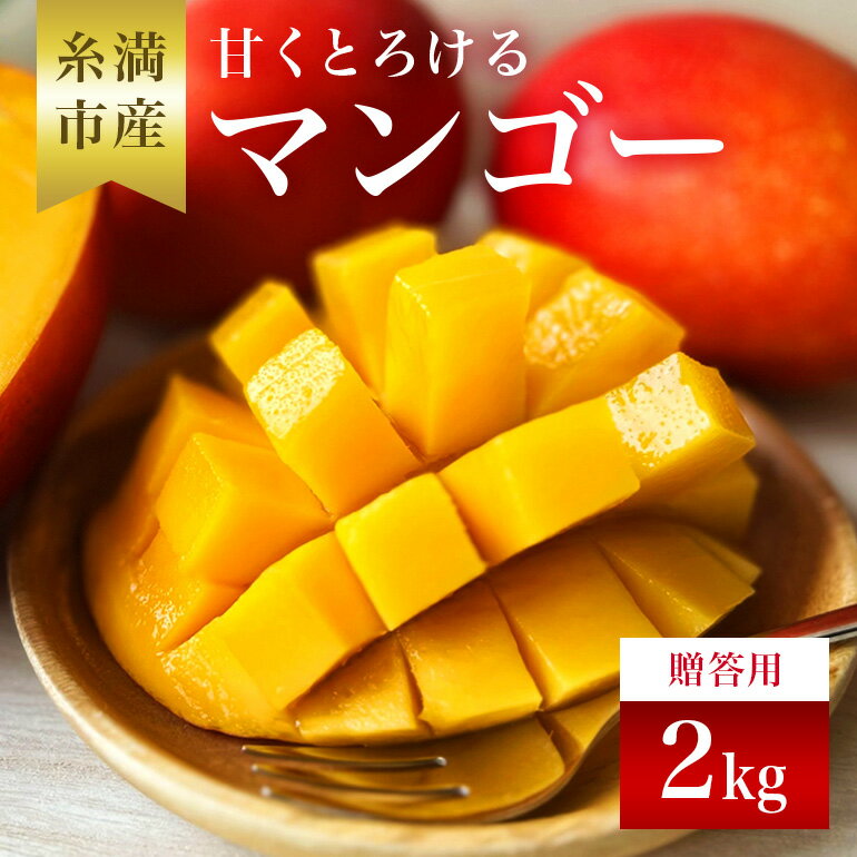 【ふるさと納税】【 先行予約 2025年 発送 】 かねよしマンゴーの甘くとろける マンゴー 2kg ( 贈答用 ) 沖縄県産 アップルマンゴー アーウィンマンゴー 2キロ 国産 完熟マンゴー 果物 くだもの フルーツ 完熟 夏 旬 沖縄 産地直送 農家直送 ギフト 贈答品 糸満市 送料無料