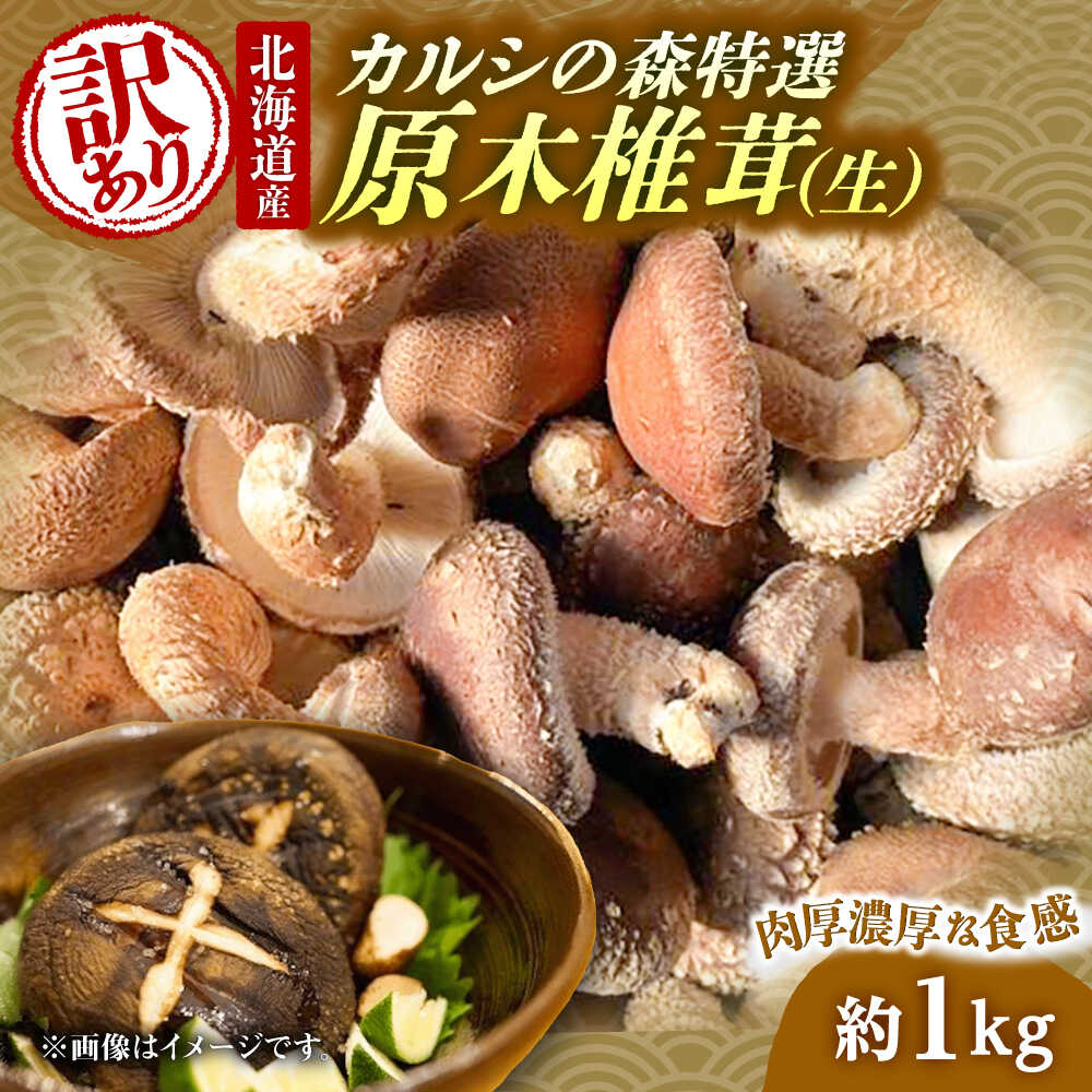 【ふるさと納税】【訳あり】原木 生しいたけ 約1kg | 合同会社カルシ[BNAU005]