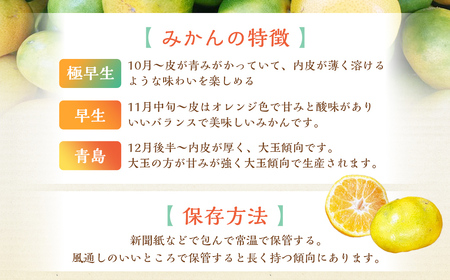 【規格外品】 熊本市産 みかん ご家庭用 15kg 不揃い 蜜柑 ミカン フルーツ 果物 くだもの 柑橘 熊本産 九州産【2024年10月下旬～2025年2月下旬発送予定】