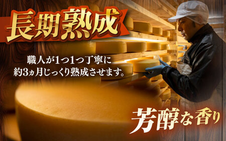 北海道 ラクレット 真 -SHIN- 1ホール 約4kg チーズ 3ヵ月熟成 濃厚 ラクレットチーズ 熟成 乳製品 加工食品 乳 生乳 グルメ お取り寄せ ギフト プレゼント パーティー あしょろチー