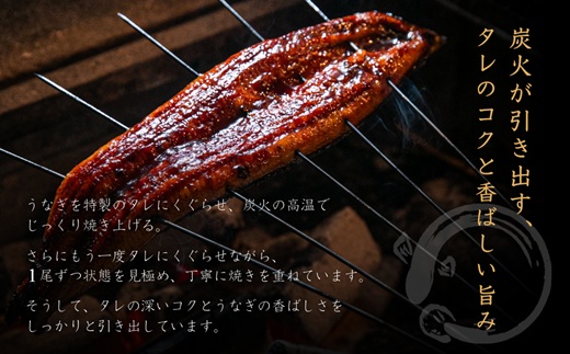 ZI399.【不揃い訳あり】うなぎの蒲焼き1尾セット
