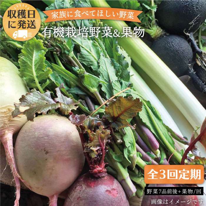 【全3回定期便】 こだわり 野菜 (7品 前後) セット ＋ 果物 糸島市 / オーガニックナガミツファーム [AGE007]