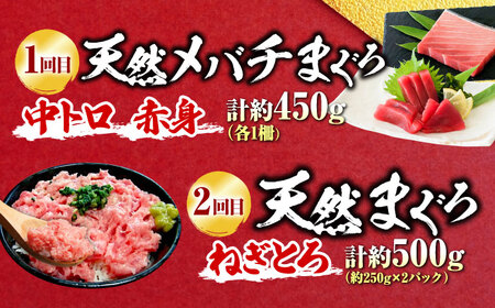 【全6回定期便】まぐろ 豪華 食べ比べ 定期便 [AKAK123]マグロ定期便