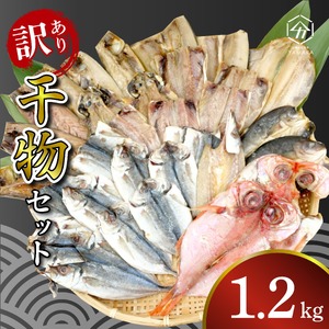 訳あり 干物 詰め合わせ 1.2kg セット 沼津からお届け アジ ホッケ サバ カマス 金目鯛 冷凍 ひもの（干物 干物 干物 干物 干物 干物 干物 干物 干物 干物 干物 干物 干物 干物 干物 干物 干物 干物 干物 干物 干物 干物 干物 干物 干物 干物 干物 干物 干物 干物 干物 干物 干物 干物 干物 干物 干物 干物 干物 干物 干物 干物 干物 干物 干物 干物 干物 干物 干物 干物 干物 干物 干物 干物 干物 干物 干物 干物 干物 干物 干物 干物 干物 干物 干物 干物 干物