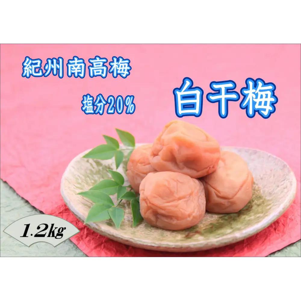 訳あり 【家庭用】紀州南高梅　白干梅　1.2kg