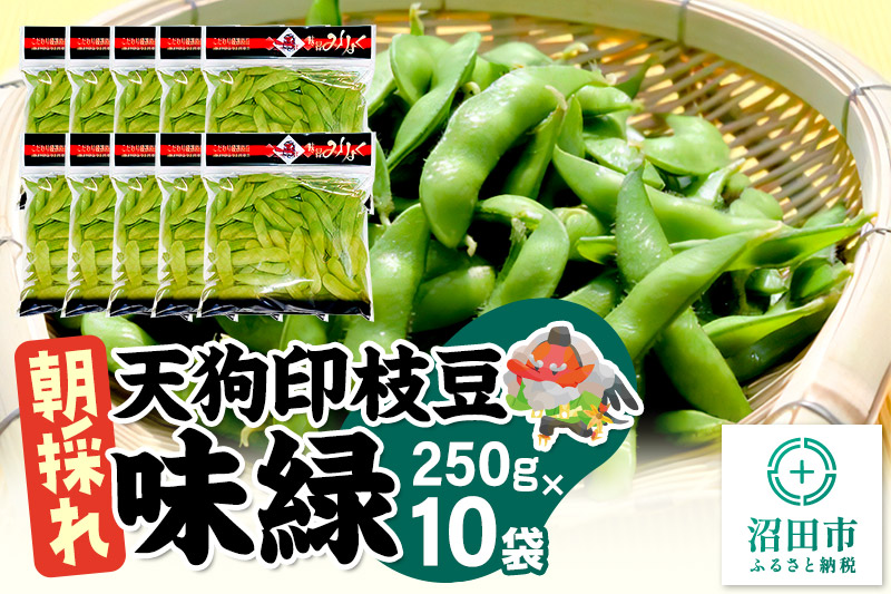 《8月上旬〜9月下旬発送》厳選 天狗印枝豆「味緑（みりょく）」約2.5kg