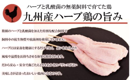 【おうちで 焼き鳥 屋さん！】 串焼き 盛り合わせ 6種類 30本セット 南島原市 / ふるさと企画 鶏肉 国産 おつまみ 豚バラ もも BBQ バーベキュー 家族 セット 焼き鳥[SBA019]