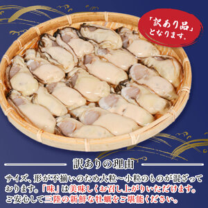 訳あり 牡蠣 むき身 1kg 【 牡蠣 】 500g×2袋 (加熱用) 数量限定 期間限定 先行予約 大船渡