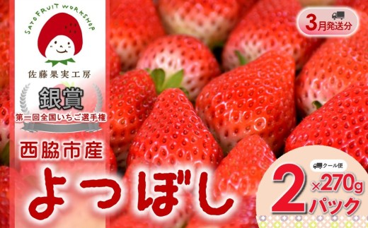 《2027年産先行予約》「西脇市産 佐藤果実工房のよつぼし」（約270g×２パック 約540g）令和９年３月下旬配送分