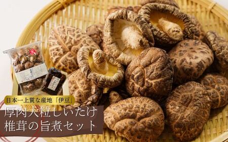 極上の清助（せいすけ）どんこ乾椎茸（しいたけ）と旨煮椎茸の詰め合わせセット　（椎茸 しいたけ シイタケ 肉厚椎茸 大粒椎茸 小粒椎茸 椎茸セット 椎茸好き 極上椎茸 乾燥椎茸 伊豆の椎茸 原木椎茸 日本一の椎茸産地 椎茸品評会 椎茸 旨煮椎茸）