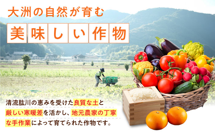 【全6回定期便】生産者の顔が見えるから安心して食べられる！毎回ちがう旬の農産物定期便　愛媛県大洲市/大洲市青年農業者協議会 [AGBL001]サラダ カレー トマト 料理 収穫 ダイエット ヘルシー 