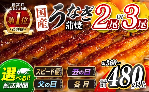 
                  ＜選べる!!数量＆配送期間＞うなぎ 鰻楽 国産 蒲焼 2尾 3尾 父の日 土用 丑の日 3営業日以内出荷 無頭 高評価 おすすめ 冷凍 簡単調理 個包装 鰻 魚介 贈答品 ギフト 贈り物【B555-C444-mult】
                