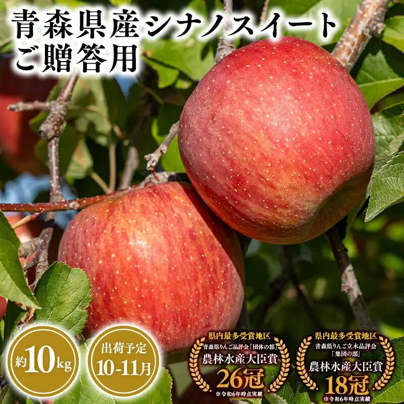 りんご 贈答用 シナノスイート10kg 【hi-0053-028】