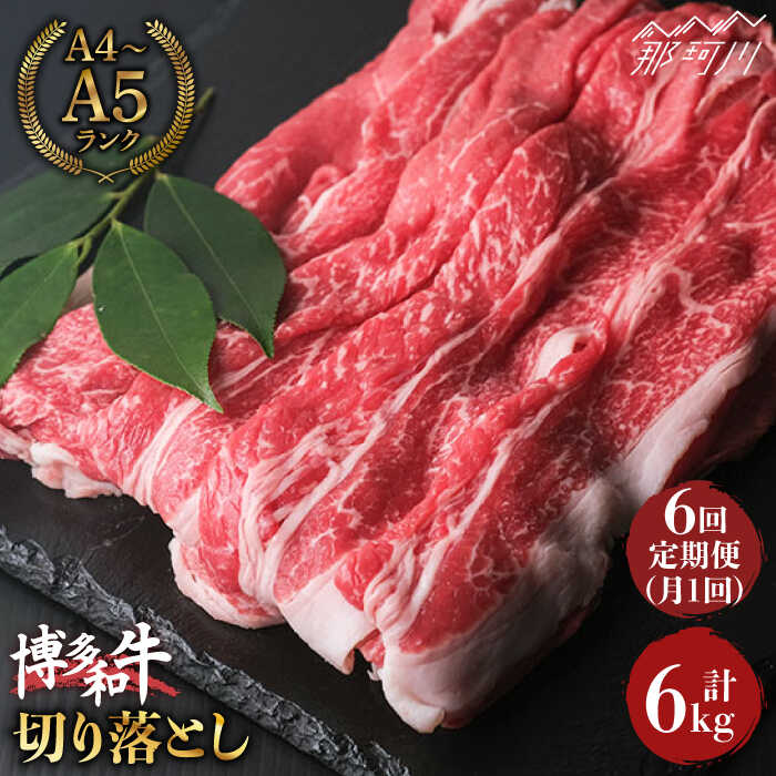 【ふるさと納税】【全6回定期便】大容量！博多和牛 牛肉 切り落とし 1kg（250g×4p）＜肉のくまもと屋＞那珂川市 | 父の日 定期便 牛肉 肉 黒毛和牛 ブランド牛 国産 BBQ バーベキュー [GBI040] 110000 11万円 以下