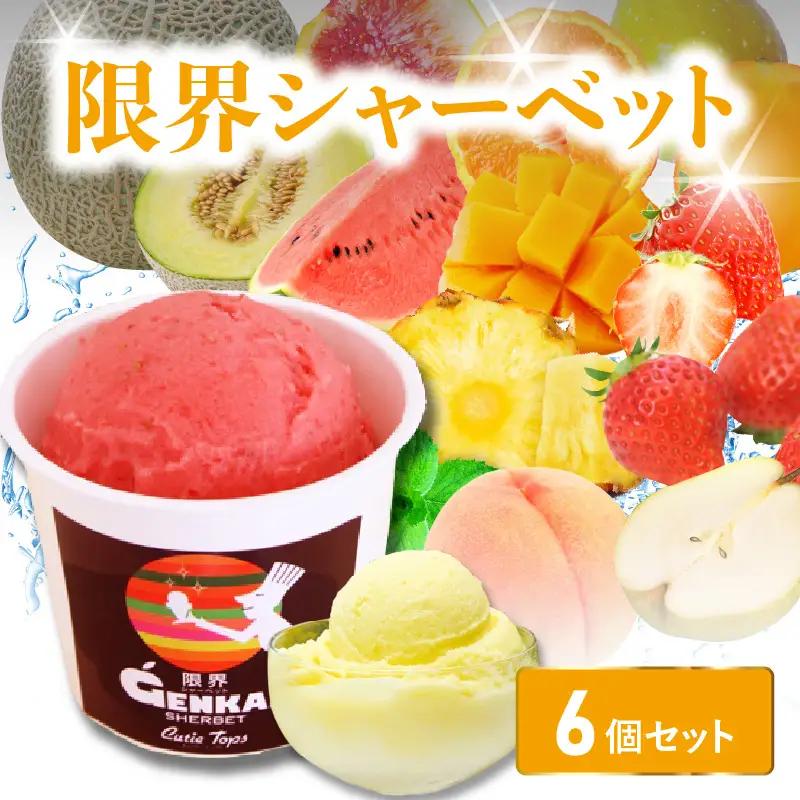 限界シャーベット 6個セット J06018