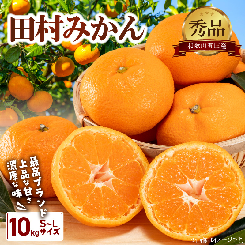 BD7005_【2026年先行予約】有田の高級みかん【田村みかん】秀品！たっぷり 10kg ギフトにもオススメ (S～Lサイズおまかせ)