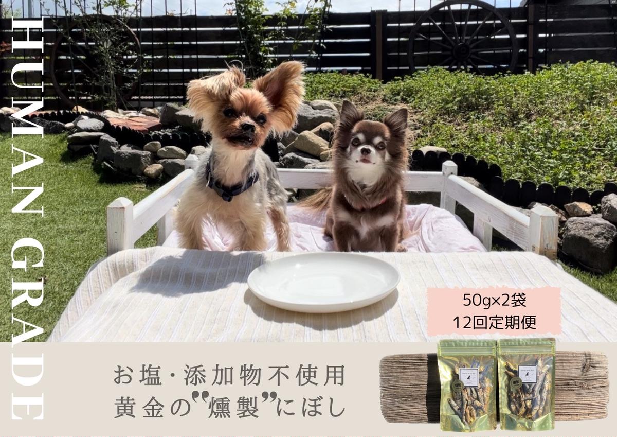 FB065 　犬と猫の無添加おやつ☆お塩不使用☆黄金の燻製にぼし【12回定期便】