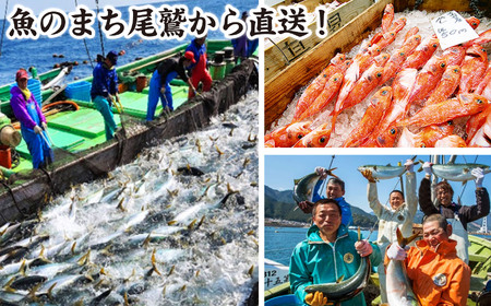 地魚のお刺身盛合せ(約25切) 　マグロ まぐろ 鮪 天然 鯛 タイ かんぱち 勘八 グレ ぐれ サザエ さざえ えび エビ 海老 海鮮 魚貝類 魚介類 刺身 刺し身 旬の刺身 手軽 簡単 冷蔵 三重