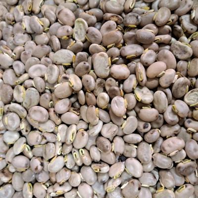 ふるさと納税 藤岡市 ムクナ豆のパウダーとお茶のセット |  | 01
