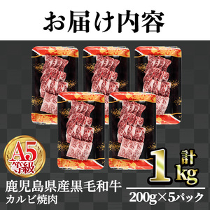 A5等級 鹿児島県産 黒毛和牛 カルビ 焼肉 (計1kg・200g×5パック×1回)  黒毛和牛【LRプラスK】A491-v01
