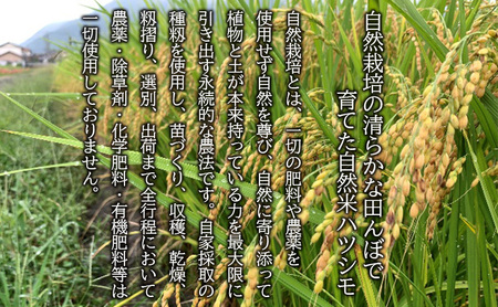 自然尊重で育てた安全な美味しい自然米ハツシモ（玄米）5kg