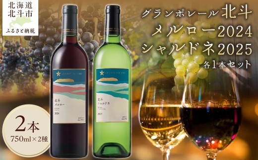 【数量限定】グランポレール　北斗メルロー2024　シャルドネ2025　750ml 各1本セット 【 ふるさと納税 人気 おすすめ ランキング ワイン わいん 赤ワイン 白ワイン メルロー シャルドネ サッポロビール 葡萄 ぶどう お酒 セット 詰合せ ギフト 贈答 贈り物 プレゼント お祝い 北海道 北斗市 送料無料 】 HOKJ015
