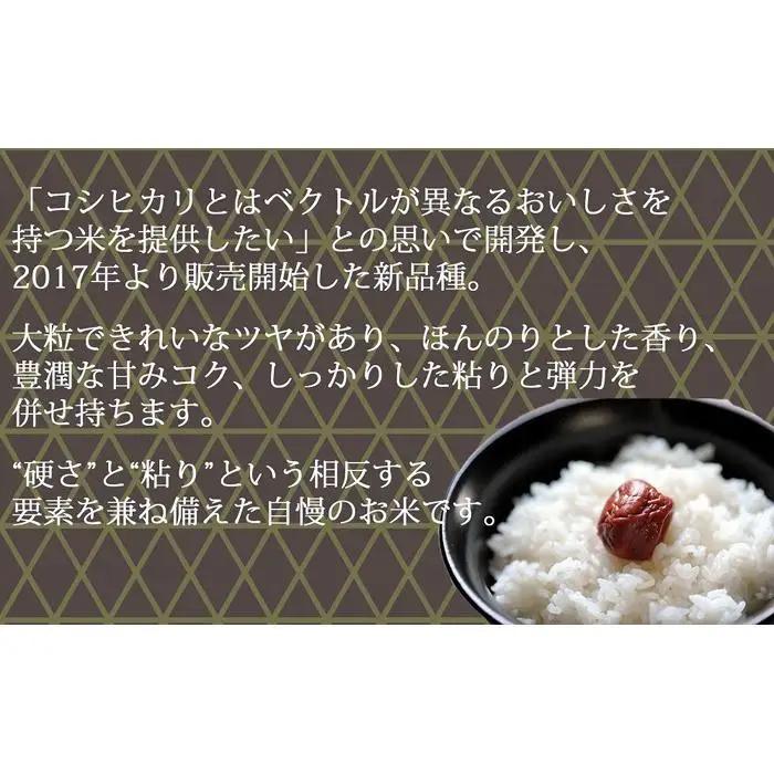 【定期便全6回】新潟県産新之助5kg（受注の翌月から毎月配送）