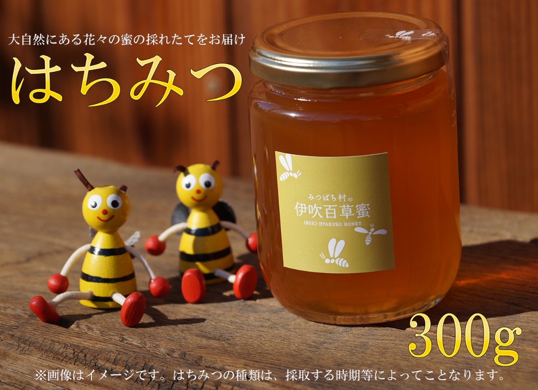 E-23a はちみつ300ｇ