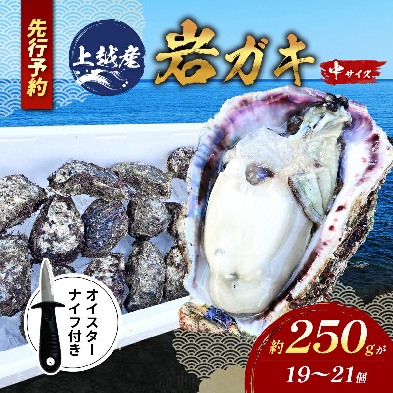 【ふるさと納税】【先行予約/オイスターナイフ付き】上越産天然岩ガキ　中サイズ（約220～250g）19～21個 海産物　2025年7月中旬以降順次発送　お届け：2025年7月中旬～8月中旬まで