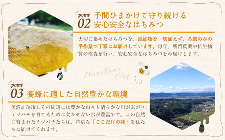 【2026年7月発送予定】 国産 無添加 MINOKAMO HONEY はちみつ 3本（300g×3）合計 900g | 藤井養蜂 蜂蜜 ハニー 非加熱 純粋 百花蜜 たれにくい 岐阜
