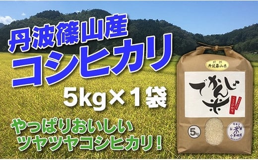 【令和7年産】お米のおいしさ伝えたい！丹波篠山産コシヒカリ5kg×1  兵庫県 丹波篠山市 白米 100％単一原料米 産地直送米 おいしい お米 精米 コシヒカリ ブランド おこめ 健康 送料無料 おすすめ 人気 口コミ