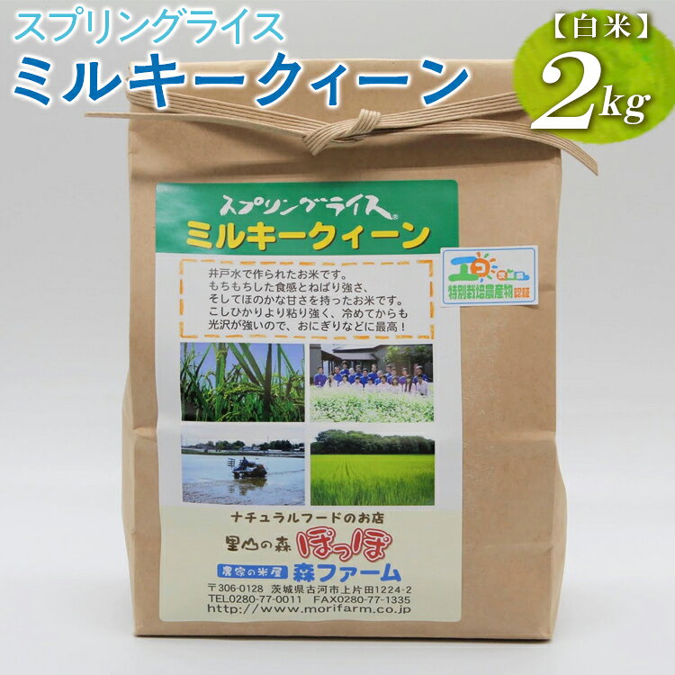 【ふるさと納税】【新米】スプリングライス ミルキークィーン (白米)2kg ｜米 コメ こめ ごはん ご飯 ゴハン 白飯 スプリング ライス ミルキー クイーン 水 こだわり 地下水 2kg 贈答 白米 精米 ギフト 贈答 プレゼント お祝 景品 記念品 ご褒美 ※2026年9月〜発送 _BI21