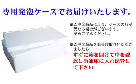 【定期便】全3回（毎月）＜網走産＞冷凍ホタテ貝柱  500g 【 ふるさと納税 人気 おすすめ ランキング ホタテ 帆立 ほたて ほたて貝柱 貝柱 ホタテ刺身 刺身 帆立刺身 冷凍ホタテ 冷凍 生食可