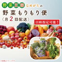 【ふるさと納税】【到着日指定可!!】野菜王国なめがたの野菜もりもり便（月2回発送）｜CU-139