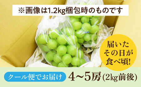 【ご家庭用】シャインマスカット 2㎏前後（4～5房） 長与町/果豊園[ECL012] しゃいんますかっと シャインマスカット 先行予約 あまいシャインマスカット 2026予約 大粒 1.2kg 果物 