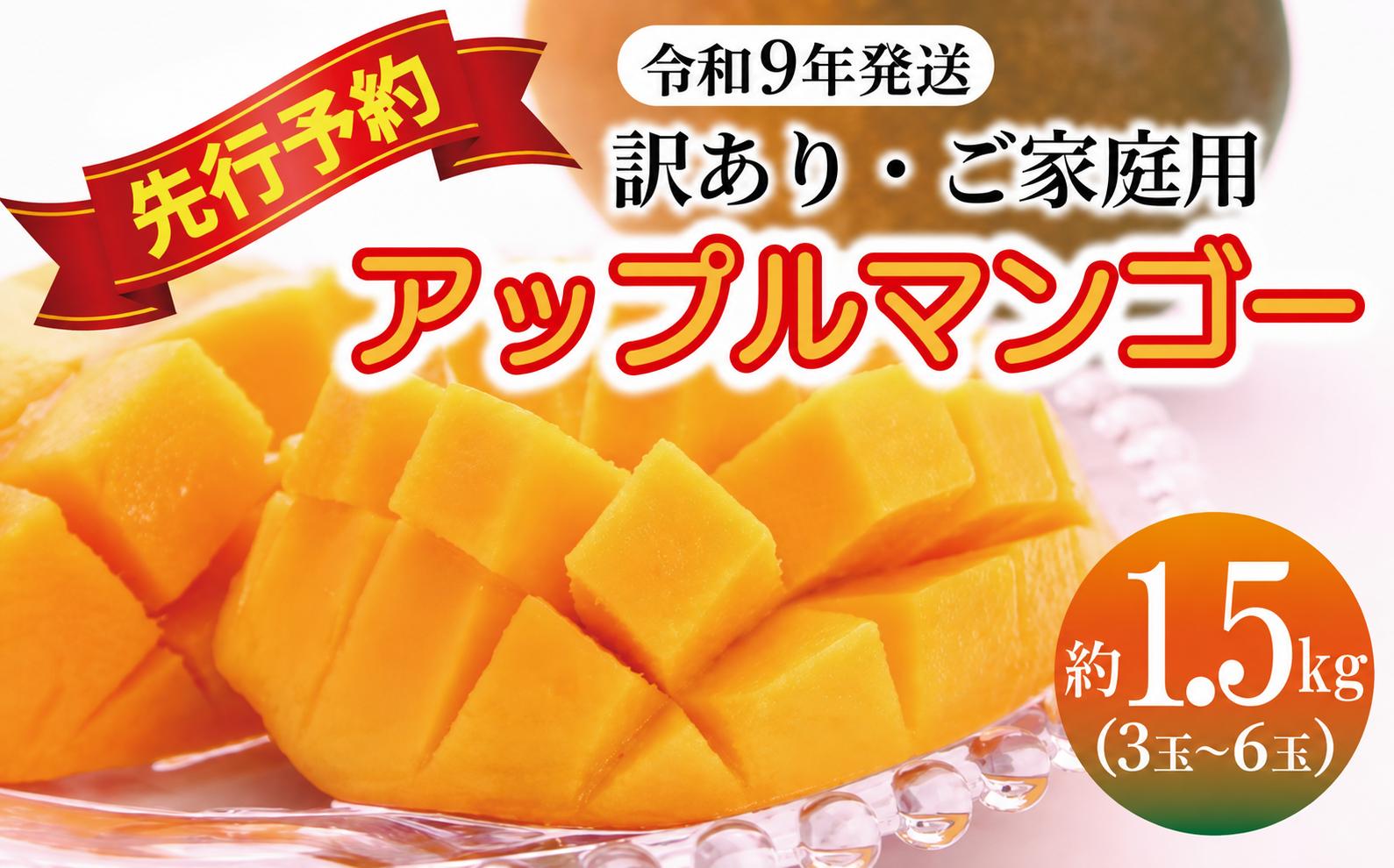 
                  ＜2027年発送＞訳あり・ご自宅用アップルマンゴー約1.5kg
                