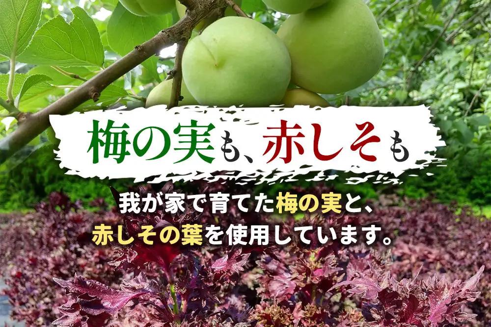 梅漬け（赤しそ入り） 200×4個 自家製 秋田県 北秋田阿仁産