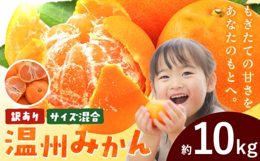 訳あり みかん 温州みかん 温州 サイズ混合 ご家庭用 約10kg エイワ商店《12月中旬-1月末頃出荷》和歌山県 日高川町 送料無料 柑橘類 ミカン フルーツ 果物 柑橘 お取り寄せフルーツ